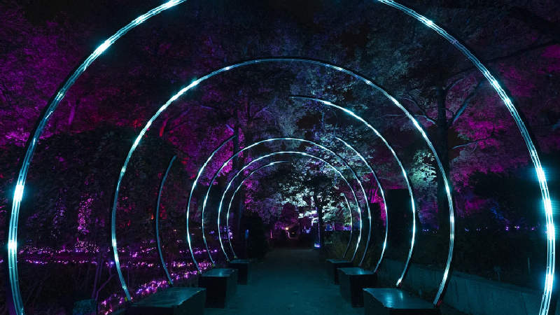 Naturaleza Encendida